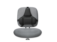 Fellowes Professional Series, Seat cushion, Sort, Professionel rygstøtte