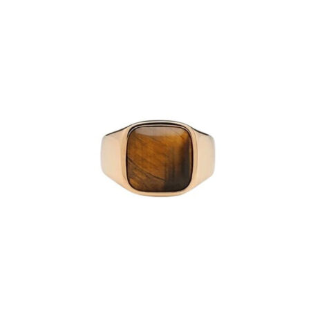 Ix Studios - IX Cushion Signet Tiger Eye ring - forgyldt